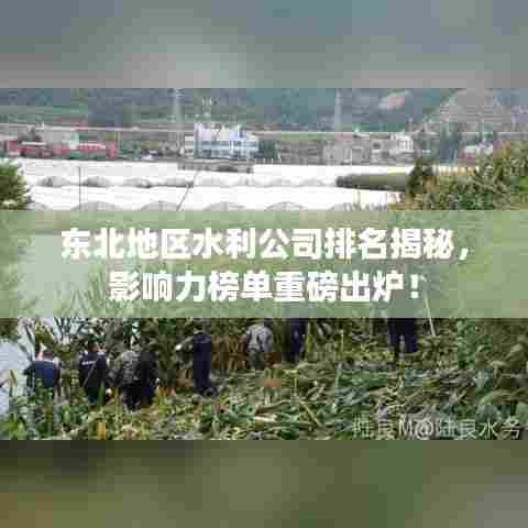 东北地区水利公司排名揭秘,影响力榜单重磅出炉!