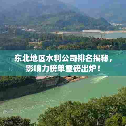 东北地区水利公司排名揭秘,影响力榜单重磅出炉!
