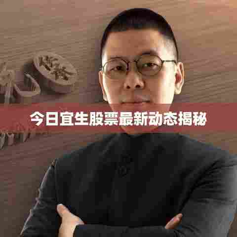 今日宜生股票最新动态揭秘