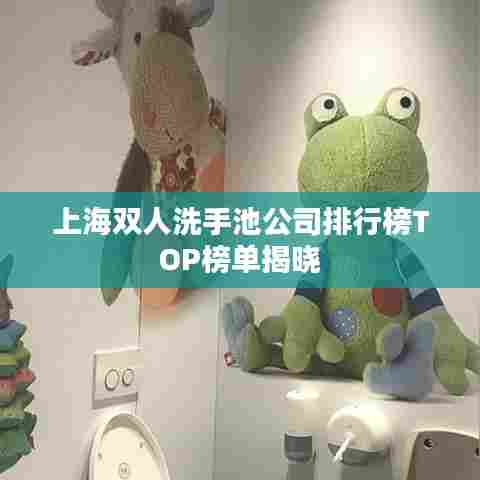上海双人洗手池公司排行榜TOP榜单揭晓