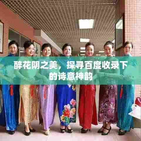 醉花阴之美，探寻百度收录下的诗意神韵