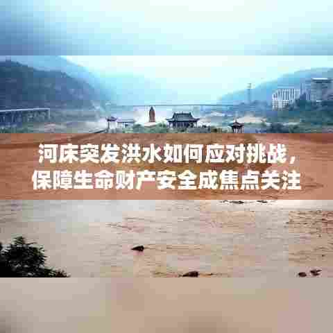 河床突发洪水如何应对挑战，保障生命财产安全成焦点关注