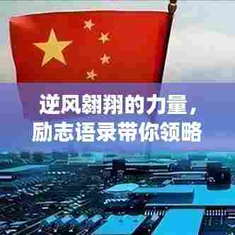 逆风翱翔的力量，励志语录带你领略不如之人的奋斗启示