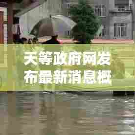 天等政府网发布最新消息概览