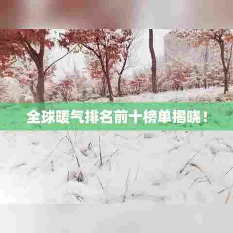 全球暖气排名前十榜单揭晓!