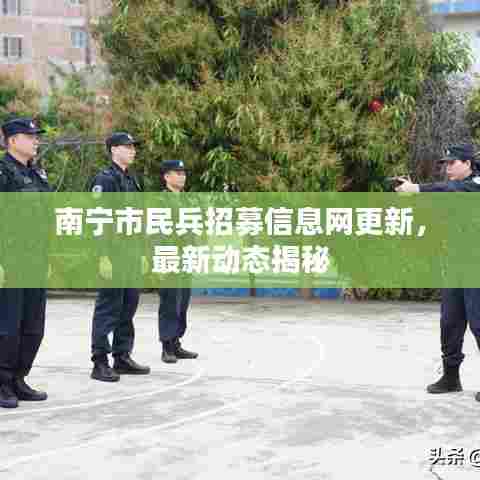 南宁市民兵招募信息网更新，最新动态揭秘