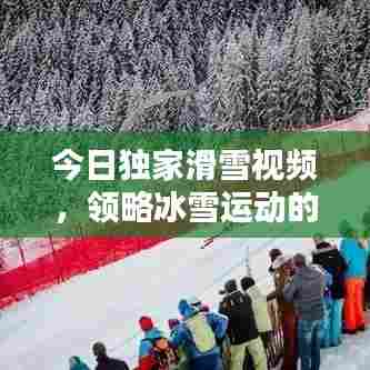 今日独家滑雪视频，领略冰雪运动的极致魅力！