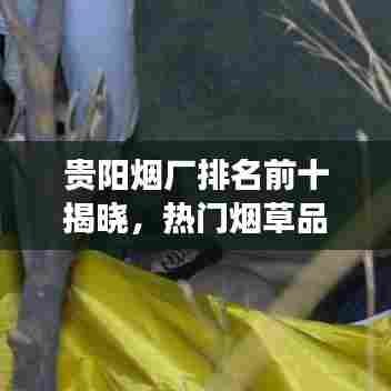 贵阳烟厂排名前十揭晓，热门烟草品牌榜单重磅出炉！