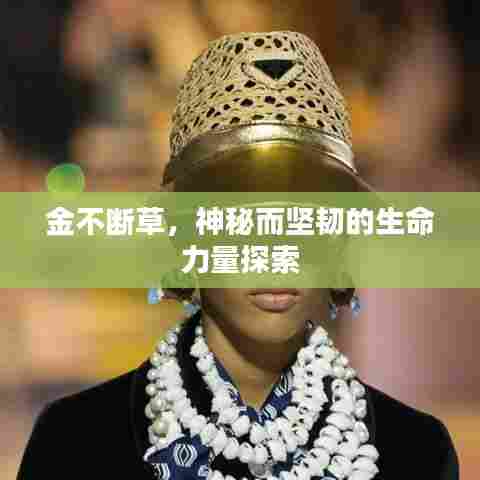 令行禁止 第7页