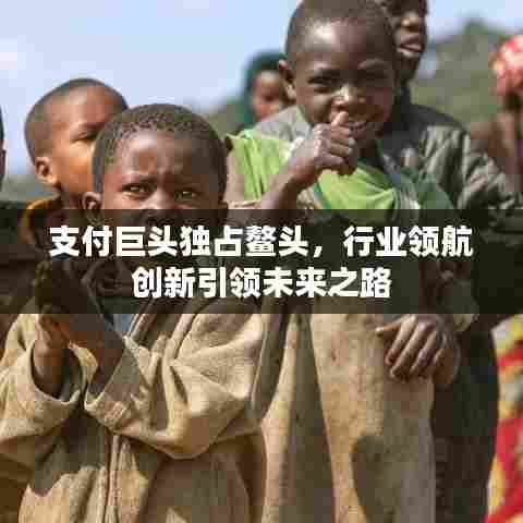 支付巨头独占鳌头，行业领航创新引领未来之路