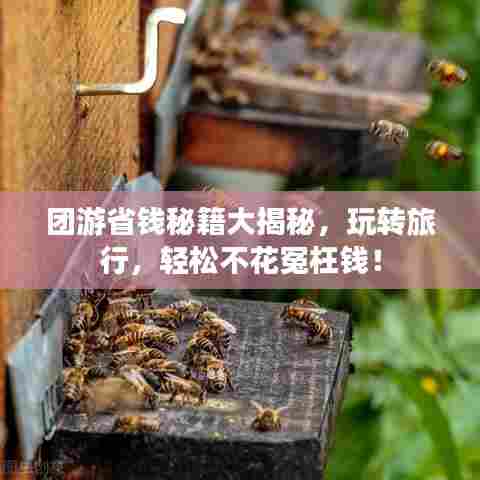 团游省钱秘籍大揭秘，玩转旅行，轻松不花冤枉钱！
