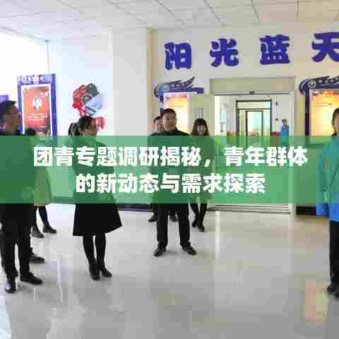 团青专题调研揭秘，青年群体的新动态与需求探索