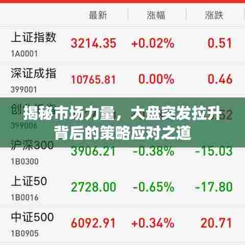 揭秘市场力量，大盘突发拉升背后的策略应对之道