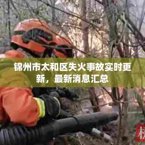 锦州市太和区失火事故实时更新，最新消息汇总