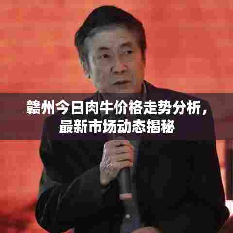 赣州今日肉牛价格走势分析，最新市场动态揭秘