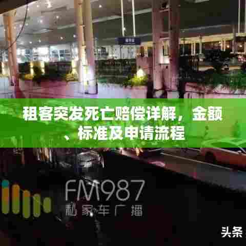 租客突发死亡赔偿详解，金额、标准及申请流程
