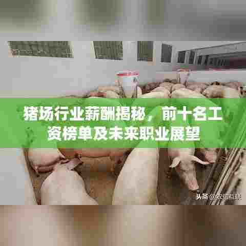 猪场行业薪酬揭秘，前十名工资榜单及未来职业展望