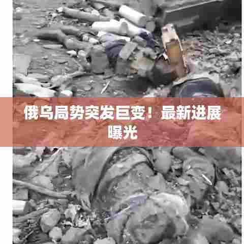 俄乌局势突发巨变！最新进展曝光
