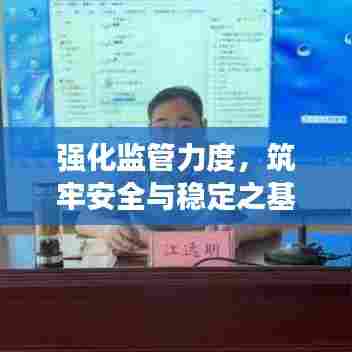 强化监管力度，筑牢安全与稳定之基石