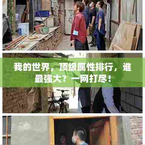 我的世界，顶级属性排行，谁最强大？一网打尽！