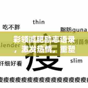 彩领减肥励志语录，激发热情，重塑生活之美