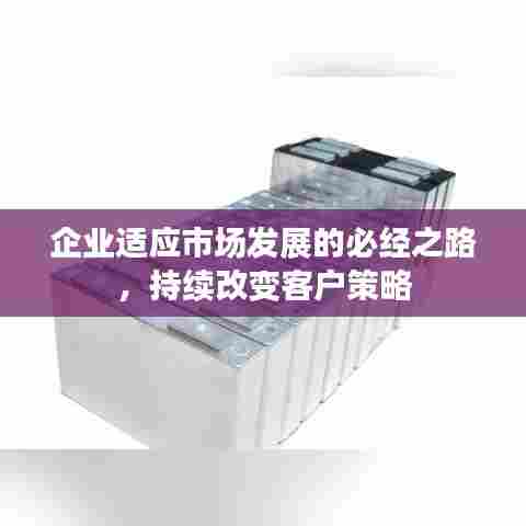 企业适应市场发展的必经之路，持续改变客户策略