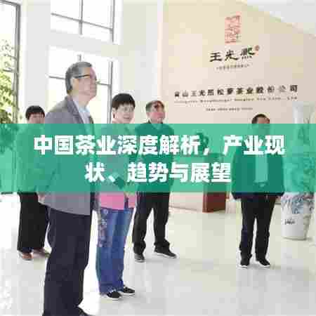 中国茶业深度解析，产业现状、趋势与展望