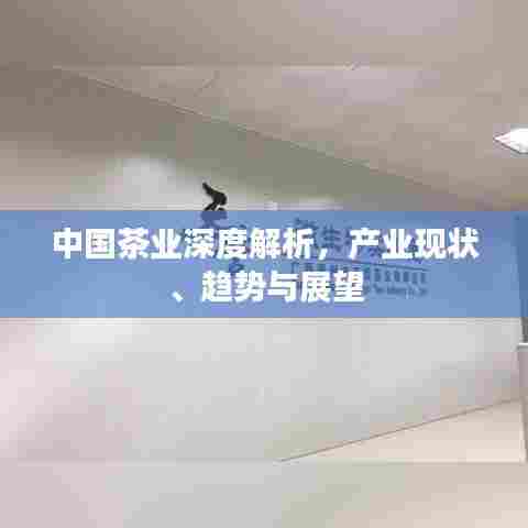 中国茶业深度解析,产业现状、趋势与展望
