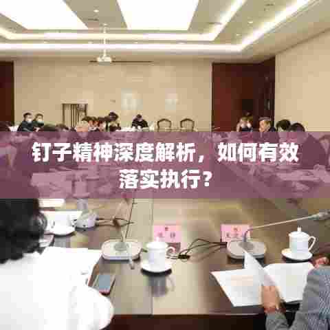 钉子精神深度解析，如何有效落实执行？
