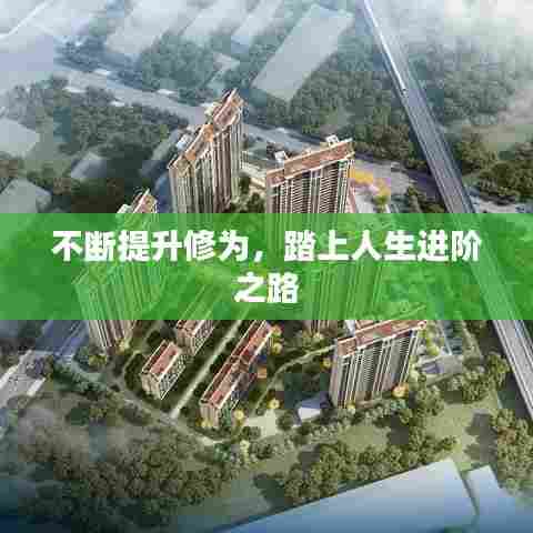 不断提升修为，踏上人生进阶之路