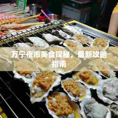 万宁夜市美食探秘，最新攻略指南