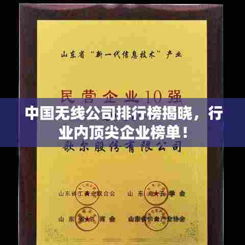 中国无线公司排行榜揭晓，行业内顶尖企业榜单！