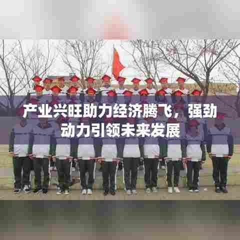 产业兴旺助力经济腾飞，强劲动力引领未来发展