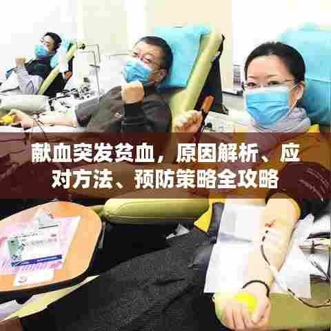 献血突发贫血，原因解析、应对方法、预防策略全攻略