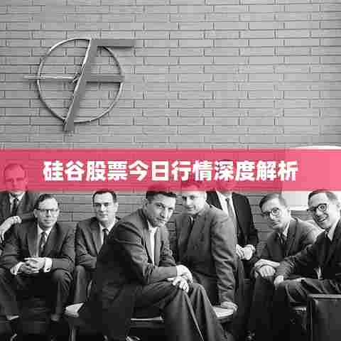 硅谷股票今日行情深度解析