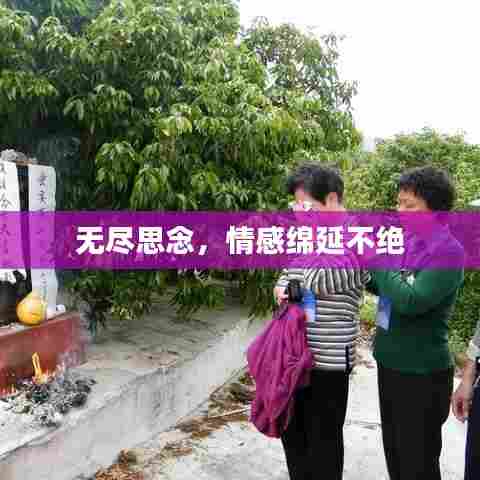 无尽思念，情感绵延不绝