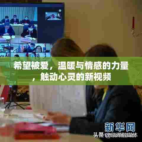 希望被爱，温暖与情感的力量，触动心灵的新视频