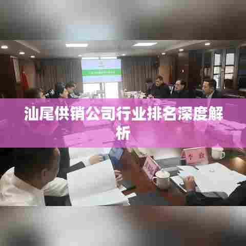 汕尾供销公司行业排名深度解析