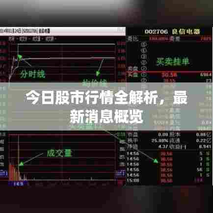 今日股市行情全解析，最新消息概览