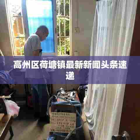 高州区荷塘镇最新新闻头条速递