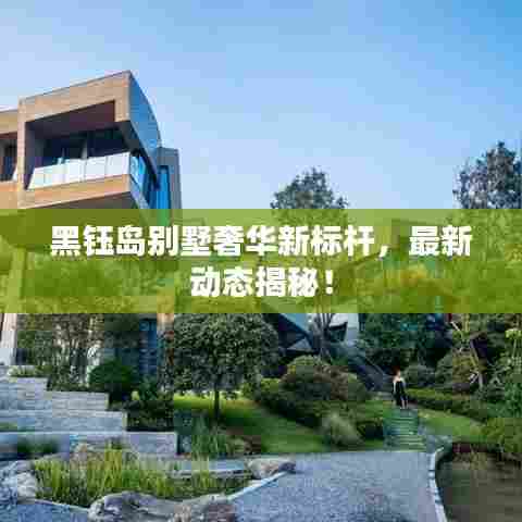 黑钰岛别墅奢华新标杆，最新动态揭秘！