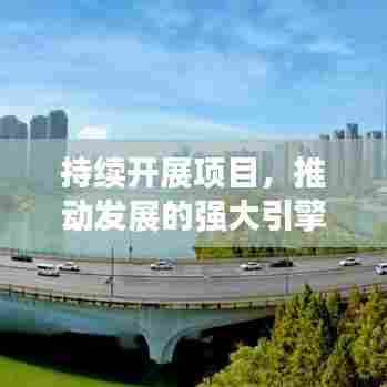 持续开展项目，推动发展的强大引擎