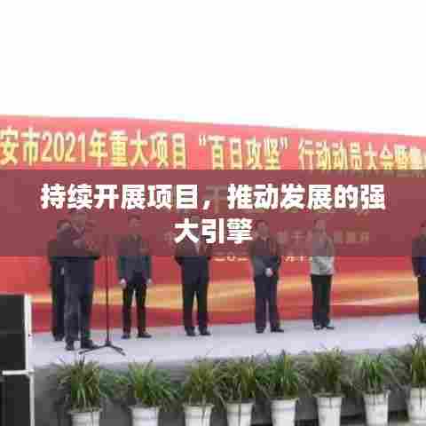 持续开展项目,推动发展的强大引擎
