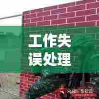 工作失误处理与考核规范深度探讨，落实范本及应对策略分析