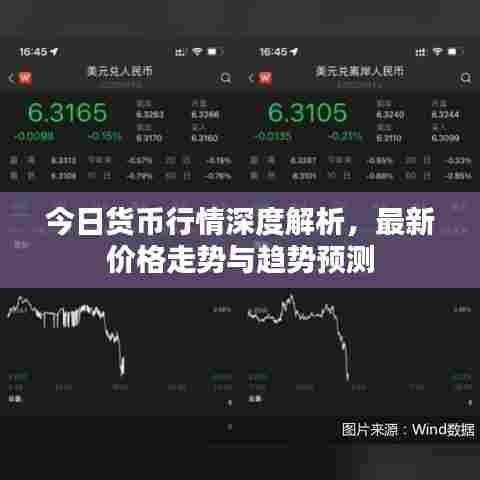 今日货币行情深度解析，最新价格走势与趋势预测
