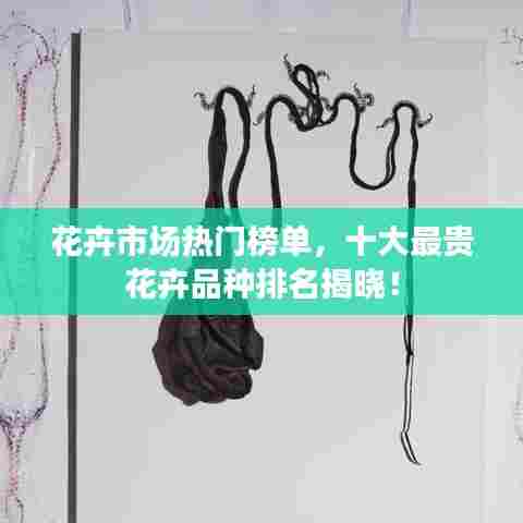 花卉市场热门榜单，十大最贵花卉品种排名揭晓！