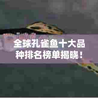全球孔雀鱼十大品种排名榜单揭晓！
