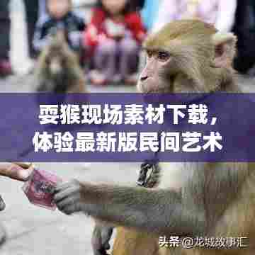 耍猴现场素材下载，体验最新版民间艺术，感受独特文化魅力！