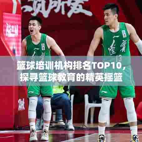 篮球培训机构排名TOP10，探寻篮球教育的精英摇篮