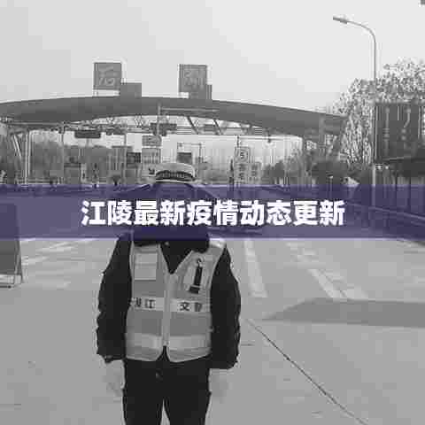 江陵最新疫情动态更新